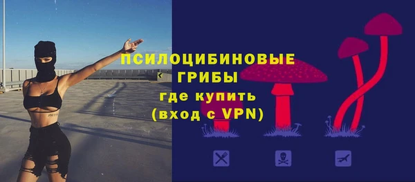 spice Заводоуковск
