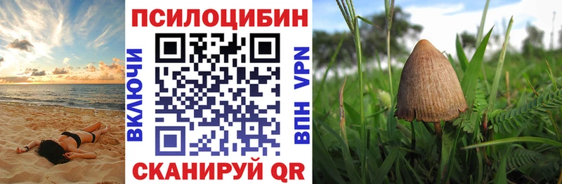 Псилоцибиновые грибы прущие грибы Калининград